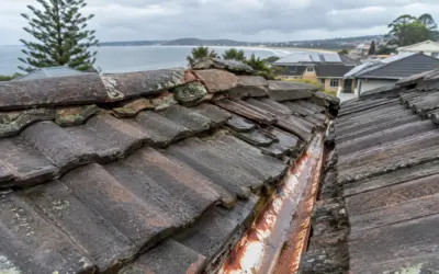 Why Is My Roof Leaking? A Shellharbour Guide