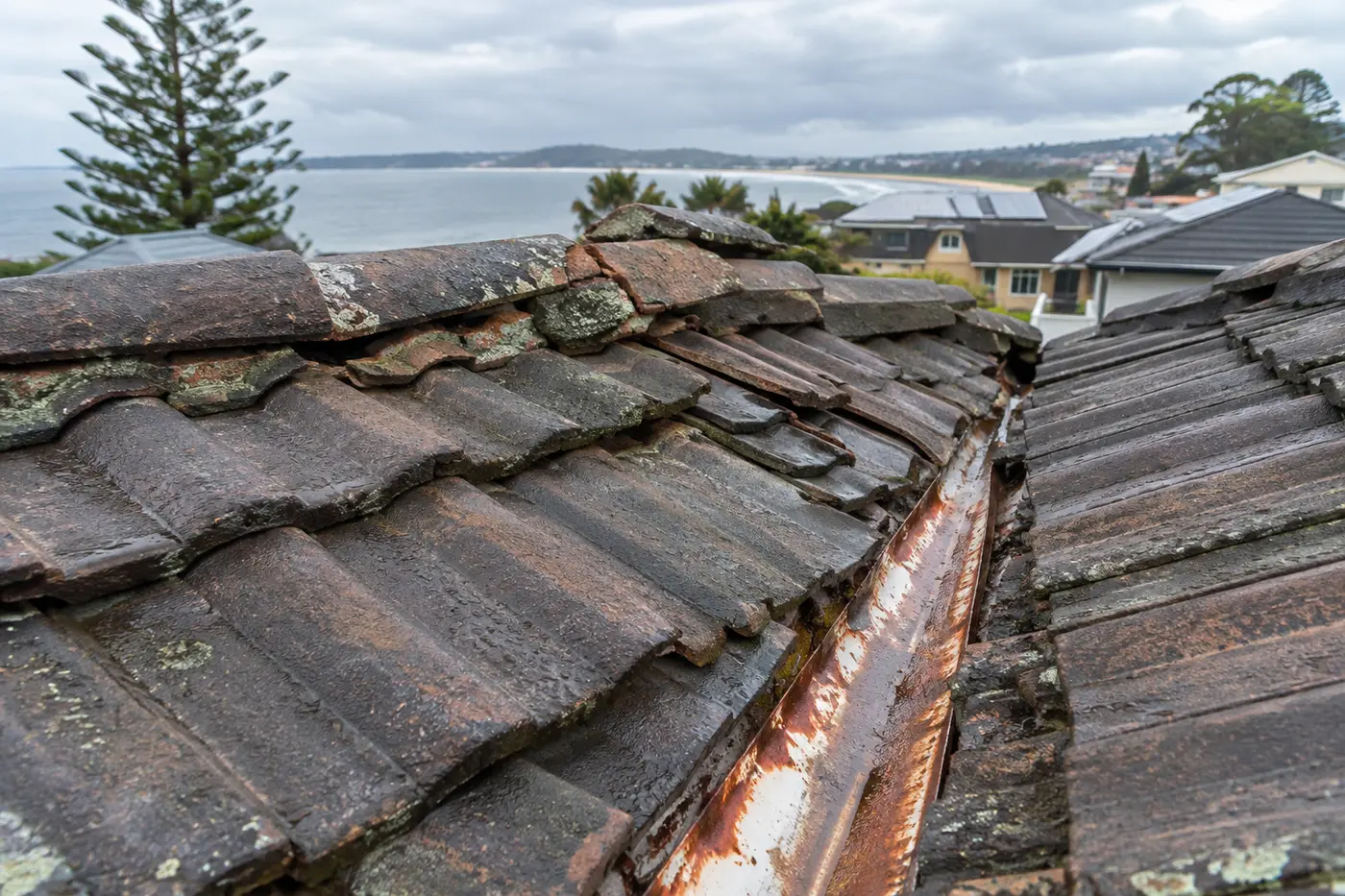roofing-shellharbour-blog-hero-3 Why Is My Roof Leaking? A Shellharbour Guide
