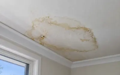 Water Stain on the Ceiling: Roof Leak or Plumbing?