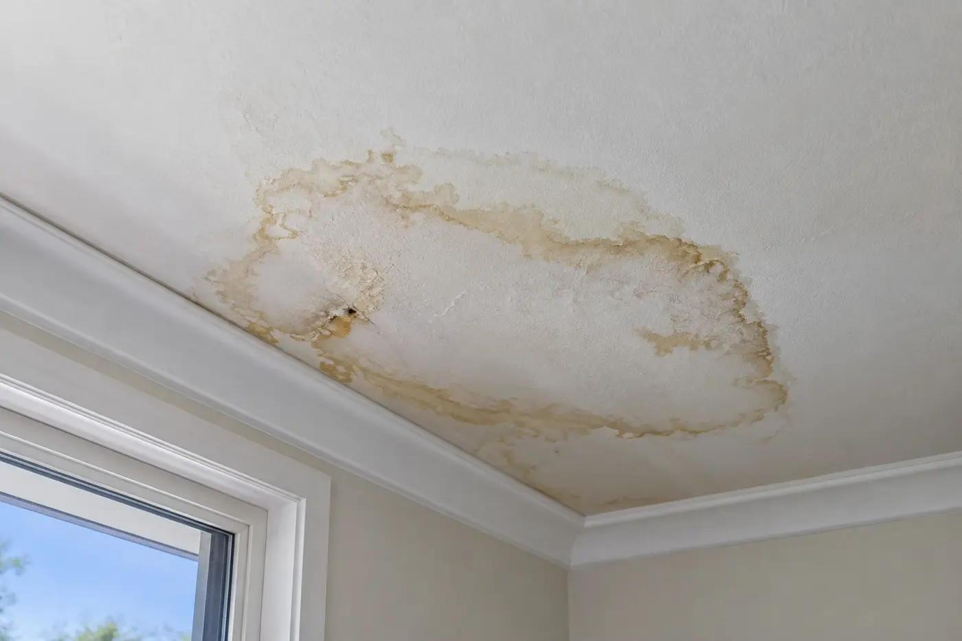 Water Stain on the Ceiling: Roof Leak or Plumbing?