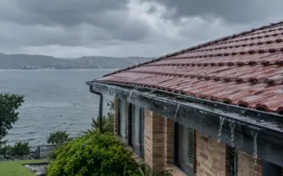 Roof Leaks in Lake Illawarra and Albion Park Rail