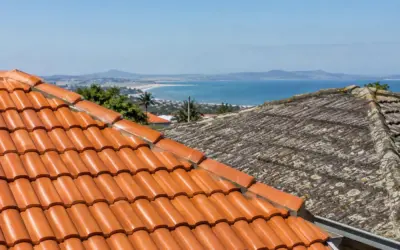 Terracotta vs Concrete Roof Tiles: A Shellharbour Guide